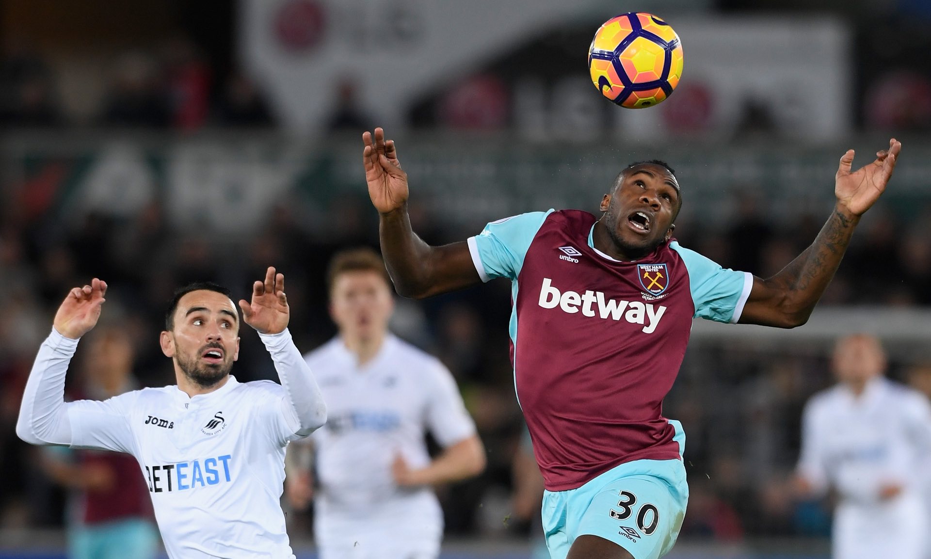 萨沃纳的缺 萨沃纳的缺